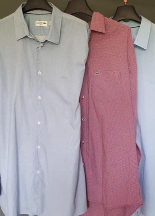 Сорочки lacoste