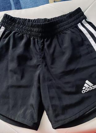 Adidas шорты