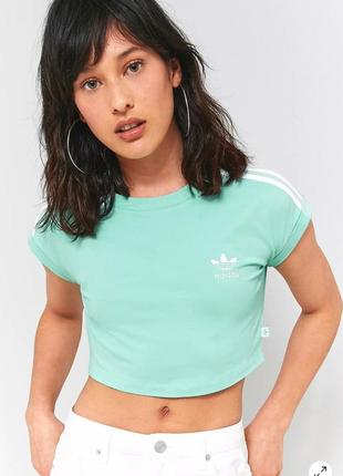 Adidas original green trefoil crop топ