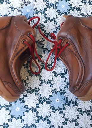 Демисезонные ботинки полусапоги мальчику/кожa/ от perry ellis/usa3 фото