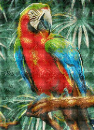 Алмазная мозаика "радужный красавец" идейка amo7492 30х40 см