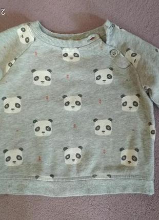 Свитшот, кофта, толстовка