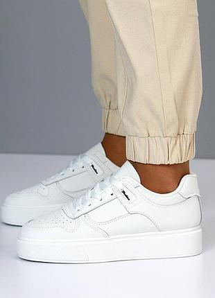 Кеди жіночі натуральна прес шкіра різні кольори