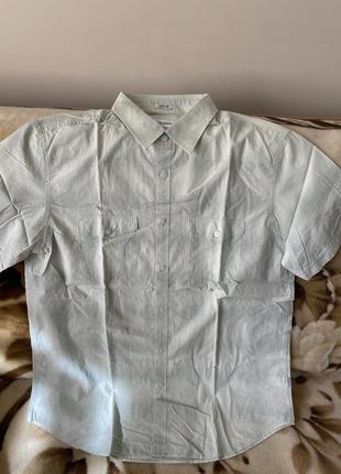 Мужская тенниска calvin klein, размер м