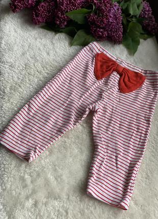 Лосинки❤️