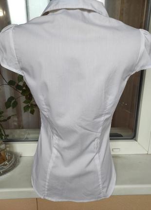 Белая блуза. белая рубашка. рубашка.2 фото
