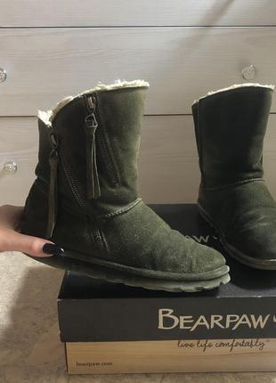 Угги bearpaw