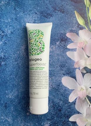 Поживна маска для волосся briogeo superfoods avocado and kiwi mega moisture mask