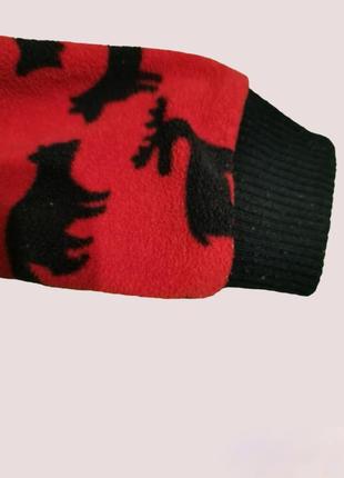 Carters 4