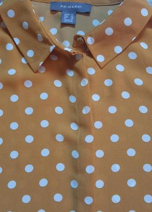 Блузка рубашка длинный рукав в горошек от primark 46-48 размер4 фото