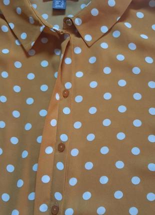 Блузка рубашка длинный рукав в горошек от primark 46-48 размер5 фото