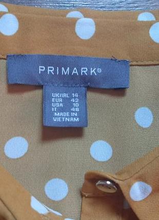 Блузка рубашка длинный рукав в горошек от primark 46-48 размер6 фото