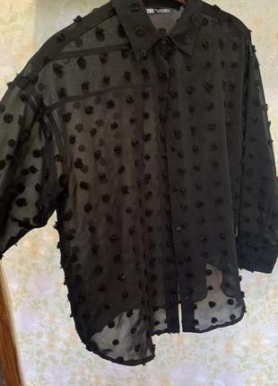 Блуза рубашка