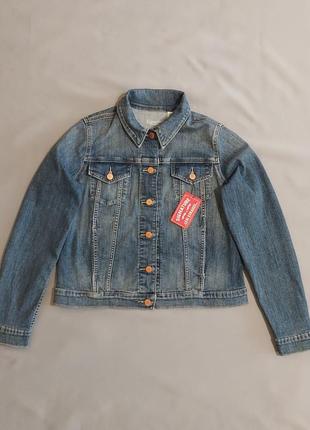 Нова джинсовка levis signature