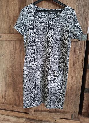 Плаття з тваринним принтом