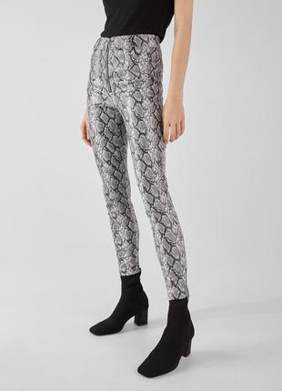 Легінси bershka animal print1 фото