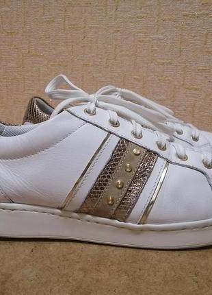 Кросiвки geox