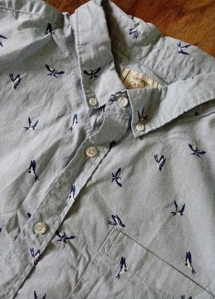 Рубашка с коротким рукавом гавайка хлопок