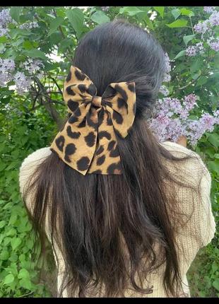Бант леопардовий
