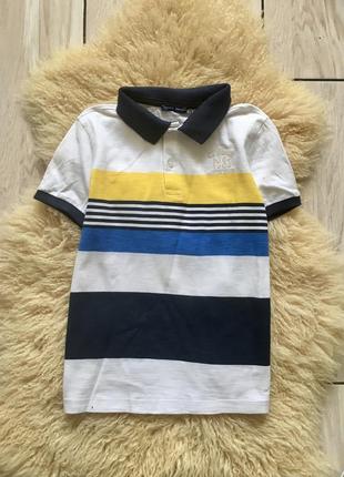 Поло теніска в полоску полосата