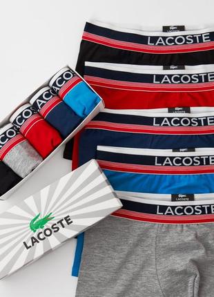 Мужские трусы lacoste / боксеры набор 5 штук / комплект на подарок