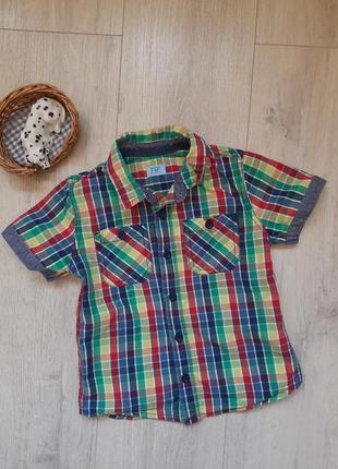 F&amp;f 3-4 года рубашка мальчик лето