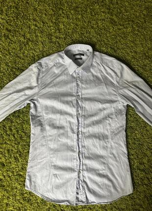 Сорочка ermenegildo zegna