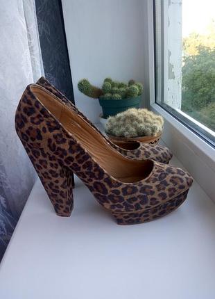 Дуже класні леопардові туфлі на високому каблуці miss selfridge,39 розмір