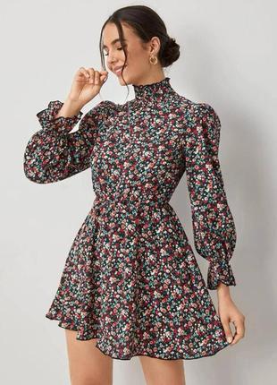 Плаття софт