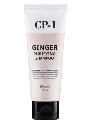 Шампунь для волосся з імбиром esthetic house cp-1 ginger purifying shampoo, 100 мл1 фото