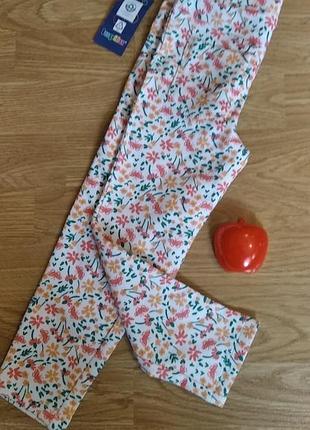 Легинсы лосины