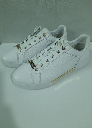 Кеди tommy hilfiger