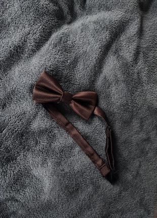 Галстук, бабочка