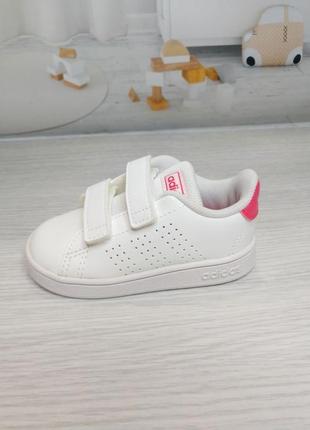 Білі кросівки адідас оригінал на липучках adidas advantage5 фото