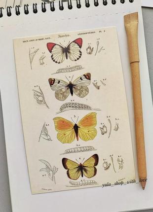Набор #32 для скрапбукинга, биология,бабочки,рослы,листочки, декоративная бумага, изображение для ежедневников блокнота скетча записная книжка4 фото