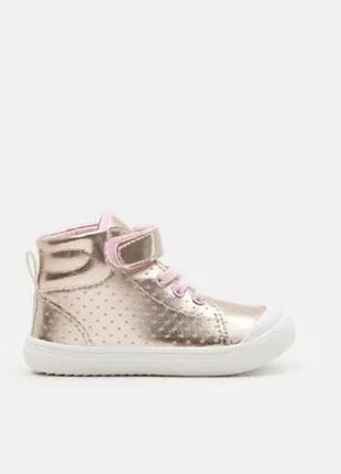 Високі кеди