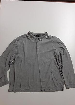 Фирменная футболка поло тенниска с длинным рукавом