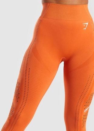Лосины леггинсы gymshark