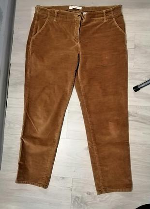 Вільветові штани