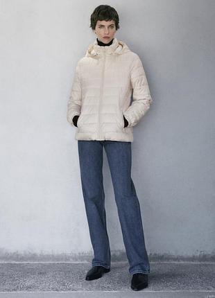 Нова жіноча куртка massimo dutti