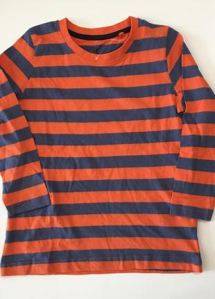 Котоновый реглан lupilu  110/116 р лонгслив