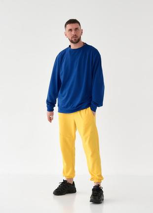 Мужской яркий сине-желтый костюм (свитшот+штаны)