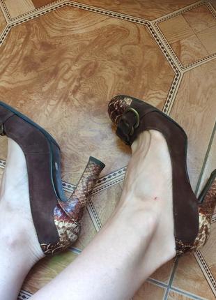 Туфли замшевые кожаные с принтом питона на каблуке змеиный принт1 фото