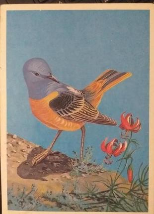 Открытка 1984 актуально