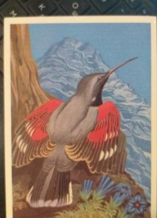 Листівка 1984 актуально