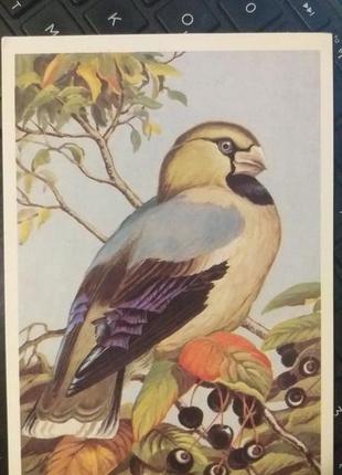 Открытка 1984 актуально