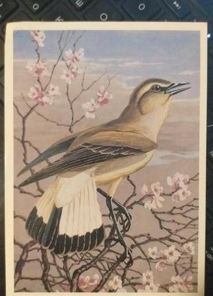 Открытка 1984 актуально