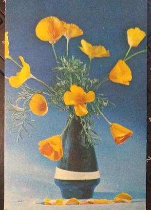 Открытка 1968 актуально