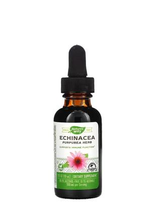 Эхинацея, на 99,9% без спирта, echinacea nature's way, 30 мл