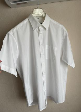 Рубашка мужская с короткими рукавами 582 фото